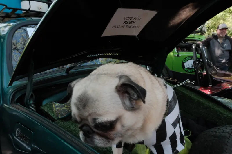 Glovebox Gallery Photograph